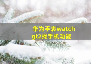 华为手表watch gt2找手机功能